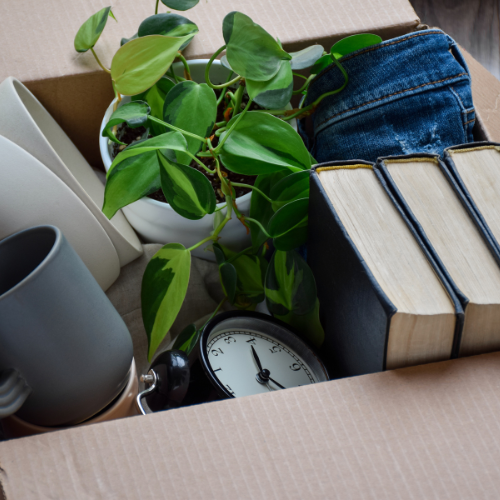 junk removal